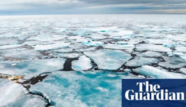 Slowdown in Arctic ice melt ends after largest winter decline on record | Environment