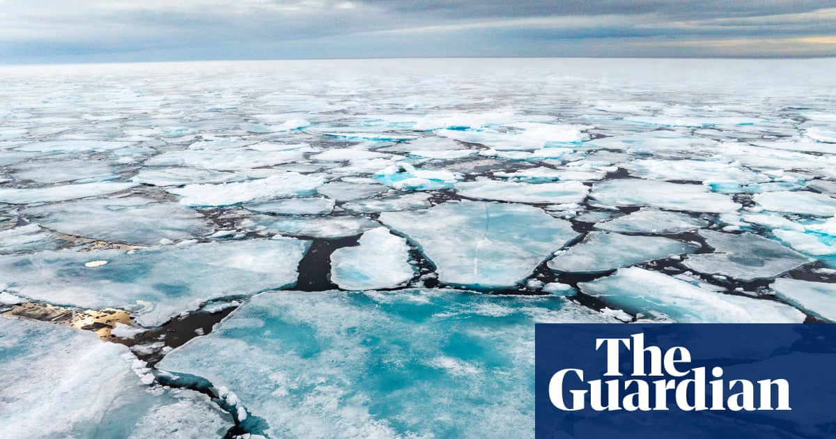 Slowdown in Arctic ice melt ends after largest winter decline on record | Environment