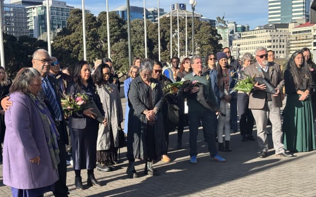 Abuse in state care protest at Parliament