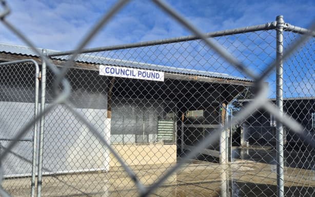 The dog pound.