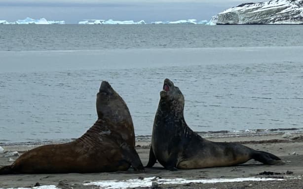 Gavin Melgaard says the wildlife is a highlight of living at the research station.