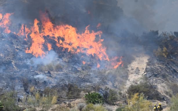 Firefighters of the Infoca (Andalusia Wildfire Service) work to extinguish fire in the area of a wildfire that killed 11 near Bedar, in Los Gallardos district, in Almeria Province, on July 10, 2026. Eleven people were killed and 19 are missing after a wildfire tore through a Spanish village, with four victims who may have been British who were burned in their car, authorities said. (Photo by JOSE JORDAN / AFP)