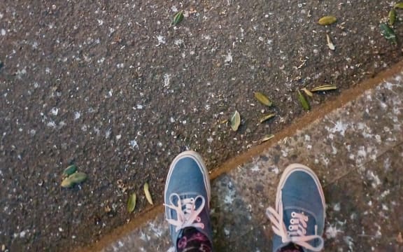 Starling droppings