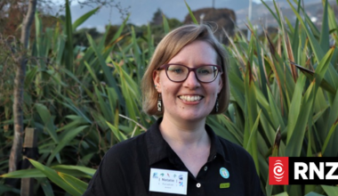 Bird flu is in New Zealand, here’s what to look out for
