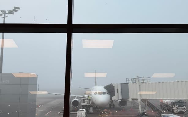 AUCKLAND FOG