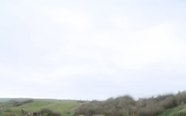 The site where the waka was found.