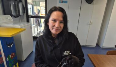 ‘It’s absolutely devastating’: Ruahine Animal Rescue evicted from council site