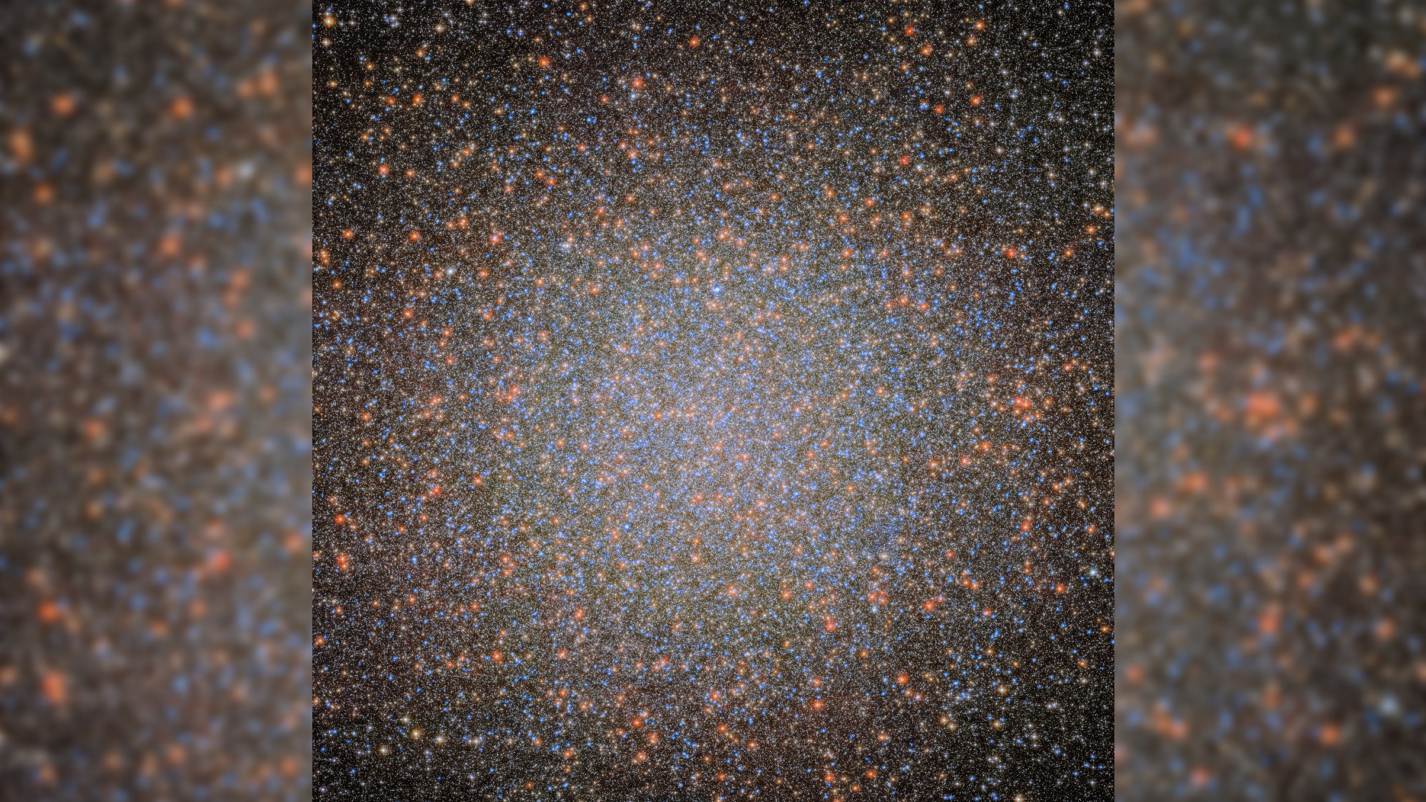 a dense field of stars on a black background