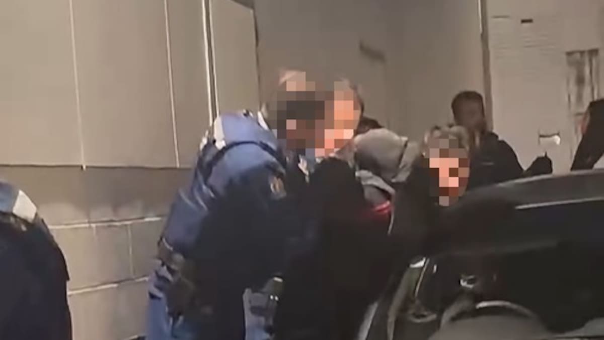 Waikato father alleges police punched him during Hamilton arrest, police taking ‘closer look’