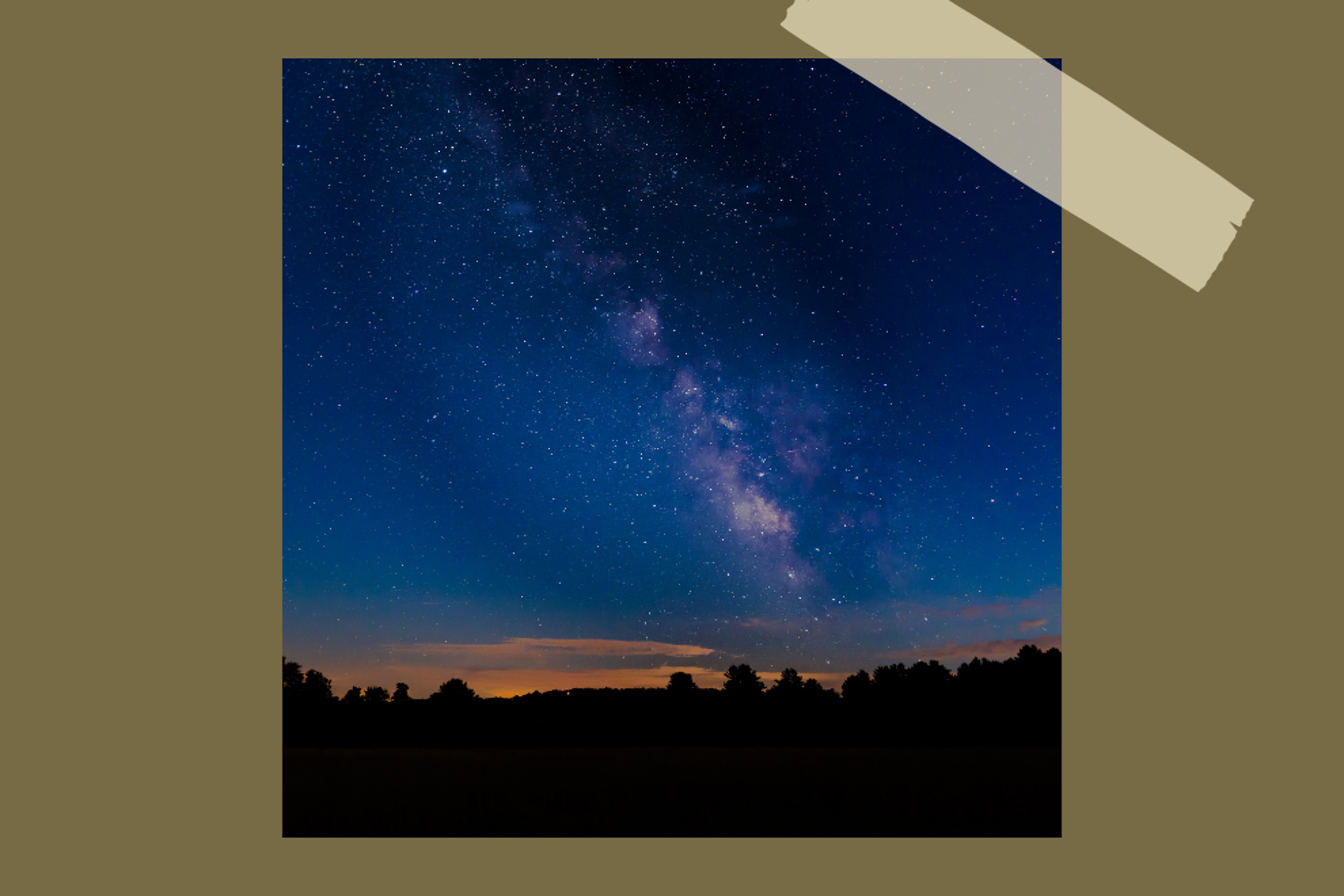 Cherry Springs State Park with Trees, the Milky Way and stars.