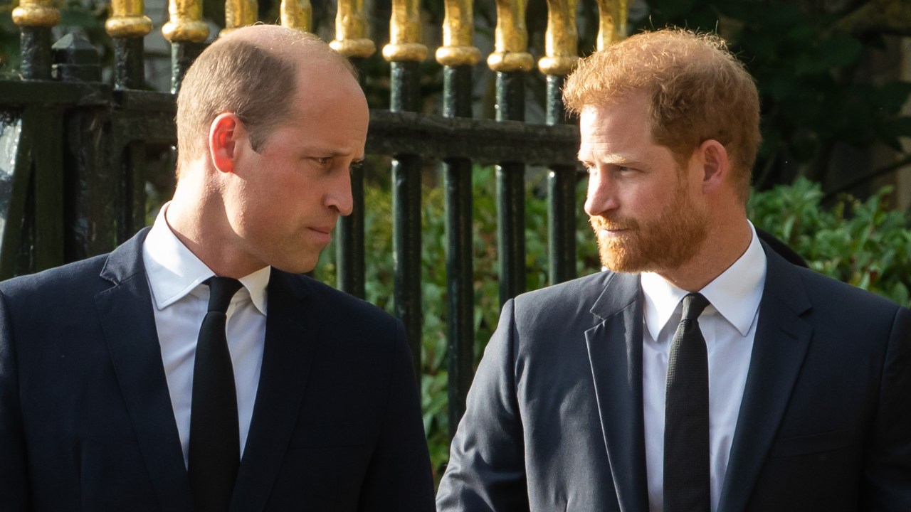 'My brother': Prince Harry’s five-word comment on Prince William - and why it could mean a possible UK reunion