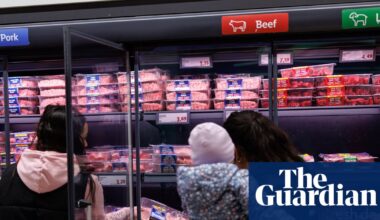 UK has ‘no future’ if it fails to act on ecosystem collapse threatening national security | Food security
