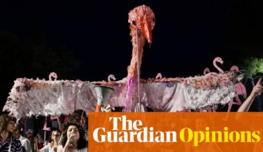 The Guardian view on the flamingo revolution: Albanians are standing up for their rights, as well as for nature | Editorial