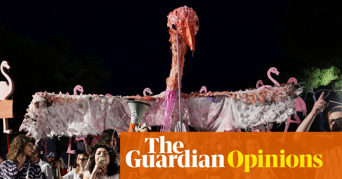 The Guardian view on the flamingo revolution: Albanians are standing up for their rights, as well as for nature | Editorial