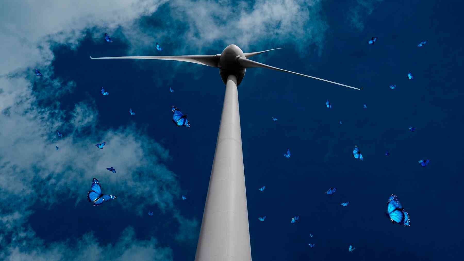 Wind turbine and butterflies