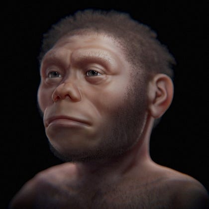 Homo floresiensis, also known as Flores man and likened to hobbits for its short stature. Credit: Cicero Moraes/Wikimedia Commons Homo floresiensis, also known as Flores man and likened to hobbits for its short stature.