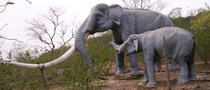 Life-size models of the now-extinct elephants that had tusks measuring 18 feet. Credit: Vjdchauhan/Wikimedia Commons Life-size models of the now-extinct elephants that had tusks measuring 18 feet.