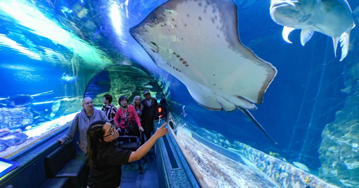 Dusit Place adds 6 new establishments, including aquarium, fitness center | Lifestyle
