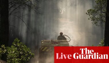France and Spain brace for fresh heatwave as warnings issued over risk of new wildfires – Europe live | Europe