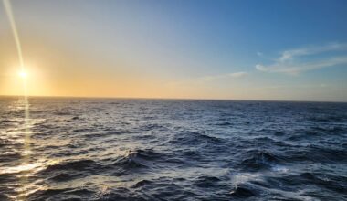 Fiji search continues for six healthcare workers missing at sea