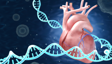 Gene Regulation Map Reveals Treatment Targets for Heart Failure