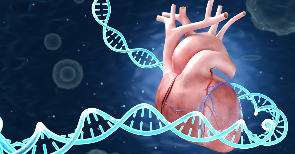 Gene Regulation Map Reveals Treatment Targets for Heart Failure