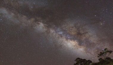 Sky-gazers can look forward to a double meteor shower peak this week. How and when to see it | News