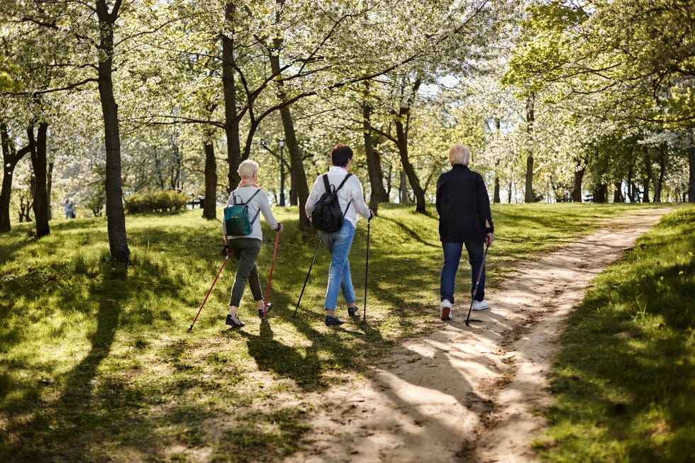 female friends walking with nordic walking poles in park