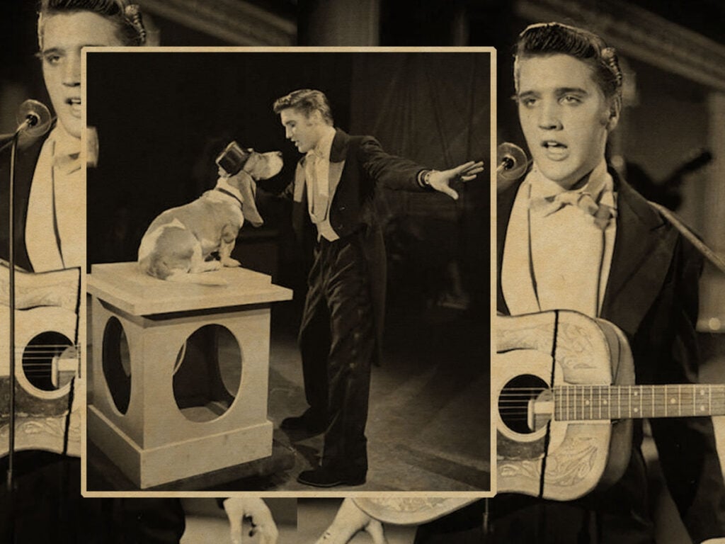 70 years ago, Elvis Presley serenaded a dog on live TV -