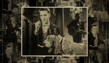 70 years ago, Elvis Presley serenaded a dog on live TV