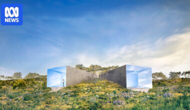 DarkLab ditches Transformer artwork in Huon Valley due to escalating costs