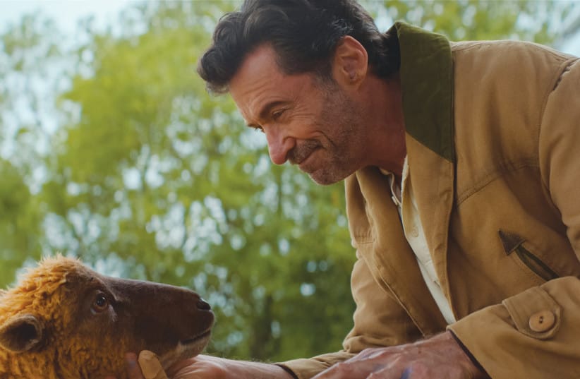 ‘THE SHEEP DETECTIVES,’ featuring Hugh Jackman and a diverse cast of sheep.