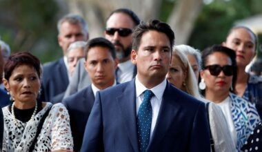 As Leader of the Opposition, I didn’t feel safe. The murder of a former UK MP validates such fears - Simon Bridges