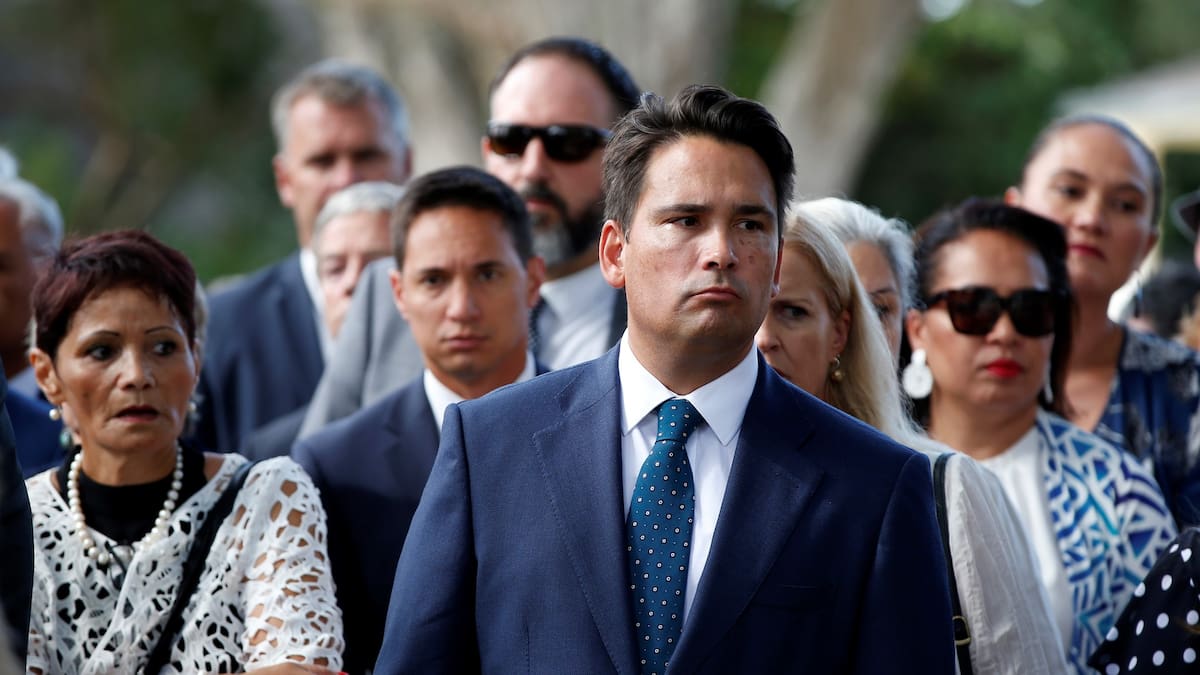 As Leader of the Opposition, I didn’t feel safe. The murder of a former UK MP validates such fears - Simon Bridges