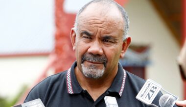 Former Te Pāti Māori co-leader calls for party leadership change amid ‘infighting’, ‘personal attacks’