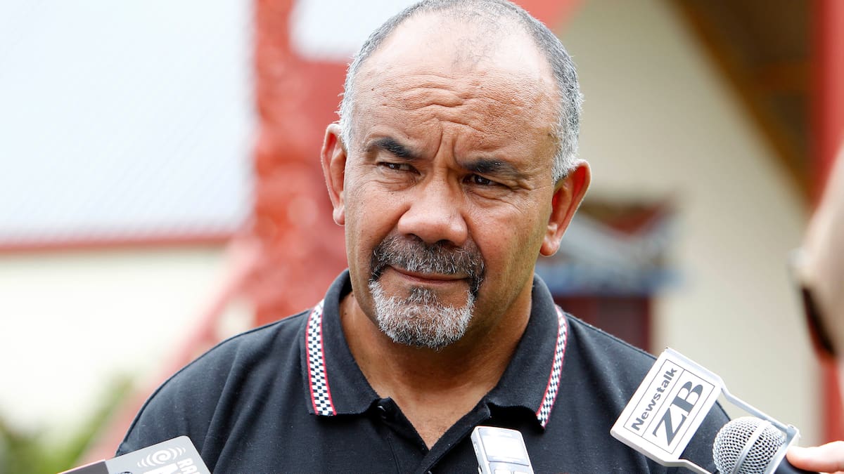 Former Te Pāti Māori co-leader calls for party leadership change amid ‘infighting’, ‘personal attacks’