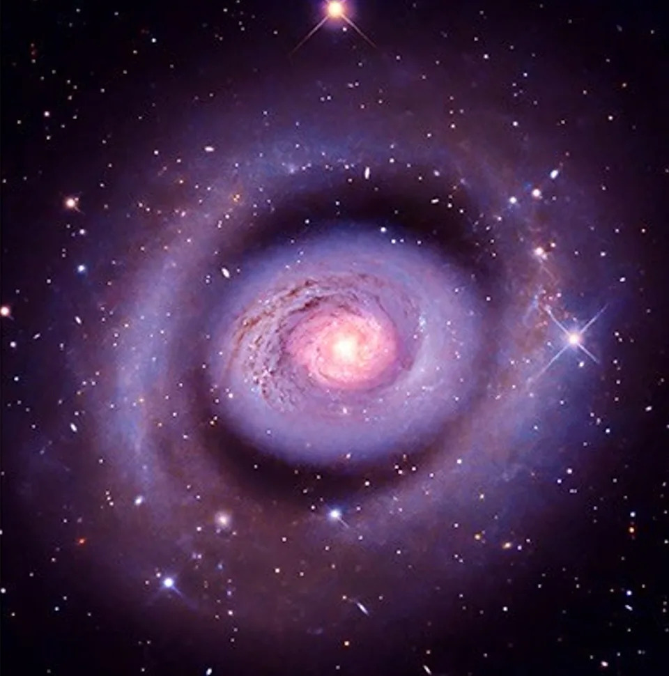 , the spiral galaxy is seen face on, with concentric pale violet cloud rings flecked with scores of stars in white, pale blue, soft red, and golden yellow. The inner ring of the galaxy is bright, and rosy yellow in color. This is a starburst ring, where new stars are forming.