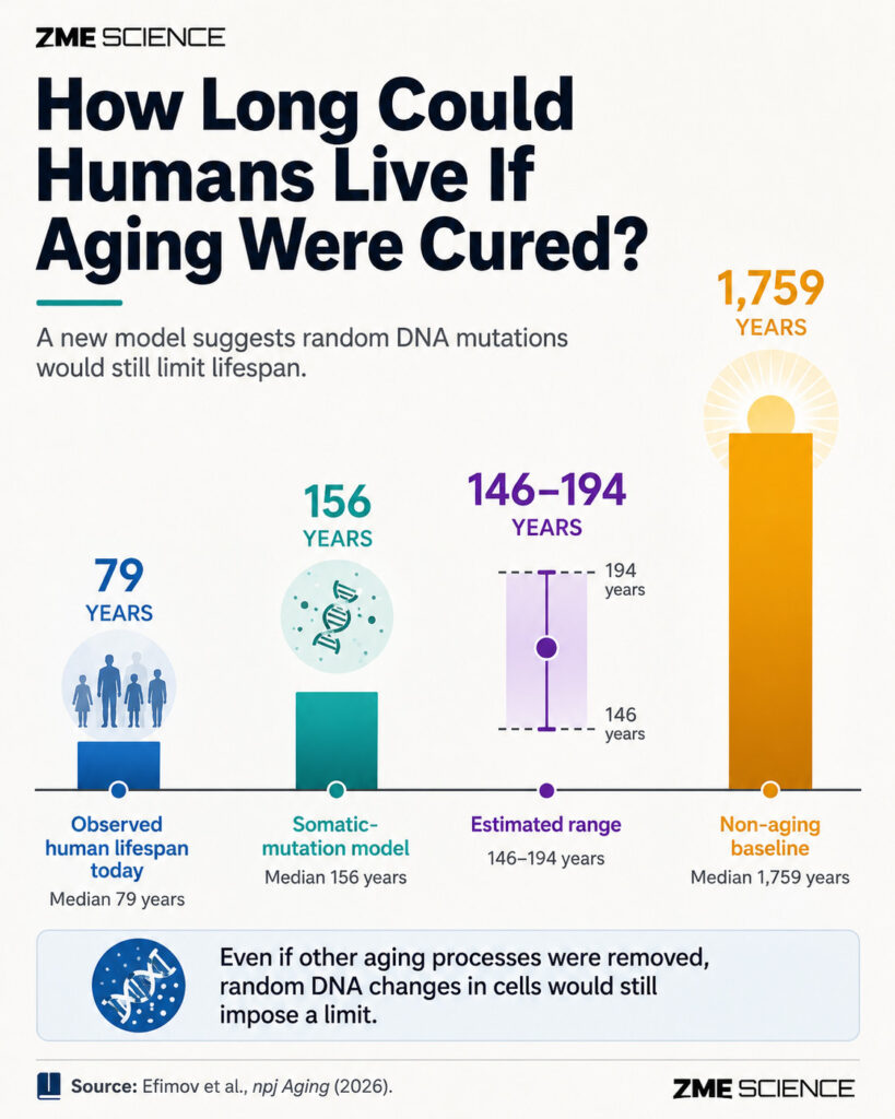 Infographic comparing our current lifespan to other potential lifespans where some or all of the aging limitations are resolved.