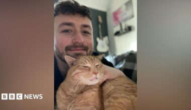 A selfie of a man with brown hair and a beard posing with a ginger cat.