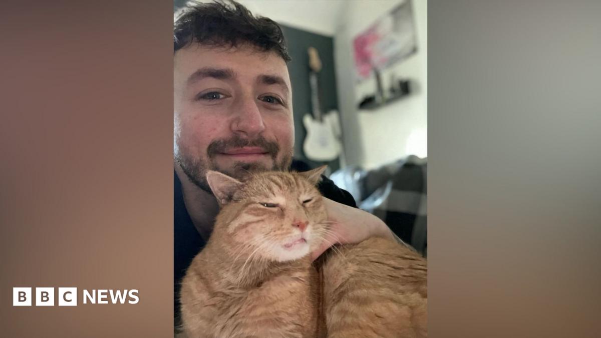 A selfie of a man with brown hair and a beard posing with a ginger cat.