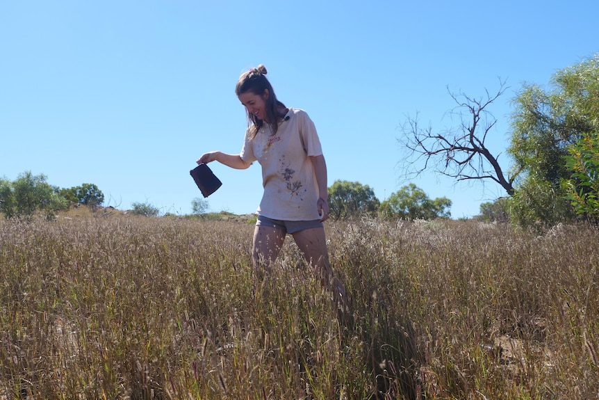 A woman in a field holds up a piece of tin.