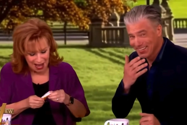 The View Joy Behar Anson Mount Kiss