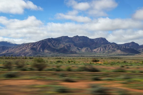 May, 2026: The outback is suddenly flush with greenery.