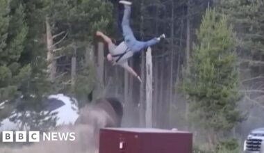 Bison rams elderly man in Yellowstone, flinging him into the sky - BBC