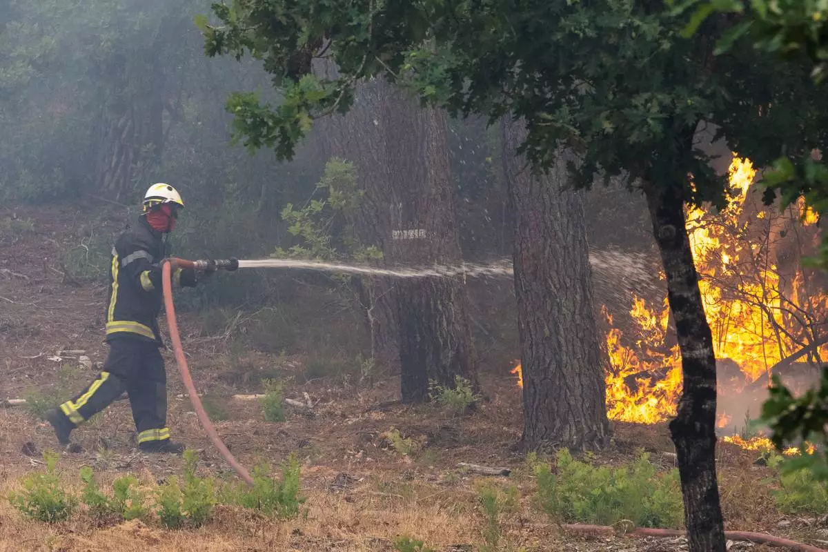 A firefighter sprays water in a burning forest in the Lège-Cap-Ferret region, western France, Friday, July 24, 2026. (AP Photo/Caroline Blumberg)
