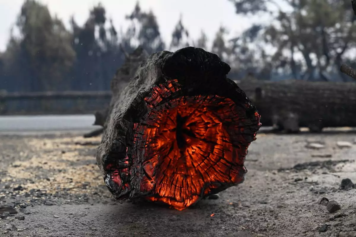 A tree trunk burns in Lanton, in the Lege-Cap-Ferret region, southwestern France, Saturday, July 25, 2026. (AP Photo/Emma Da Silva)