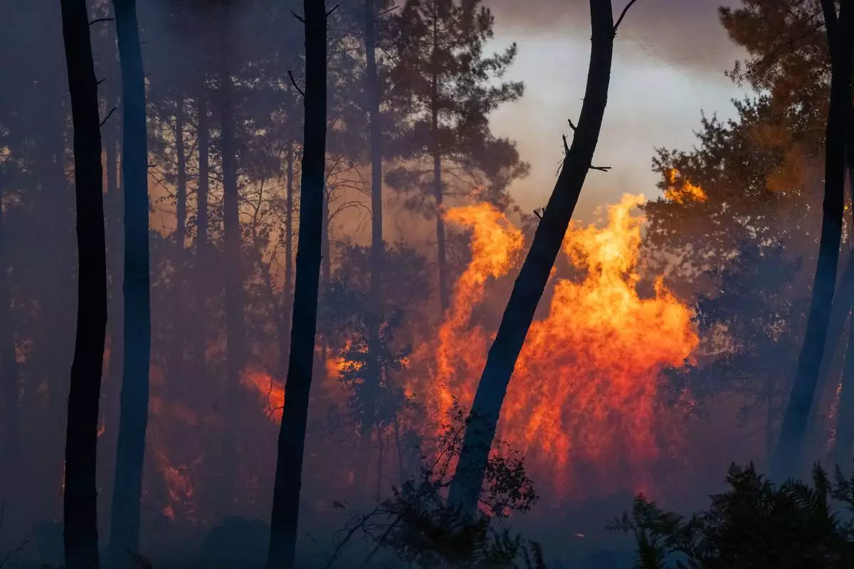 Wildfires advance near Le Proge region, western France, Thursday, July 23, 2026. (AP Photo/Caroline Blumberg)