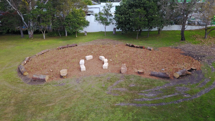 West Pymble Village Green at the time of planting. 