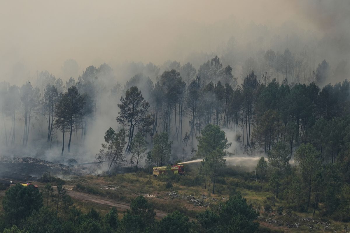 The Prince's Palace of Monaco released the rare message from Prince Albert and Princess Charlene amid the growing wildfire crisis.