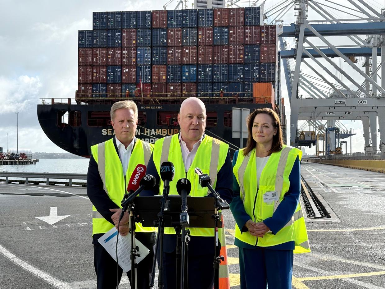 National promises trade talks with seven new markets in bid for ‘next billion customers’ - Stuff